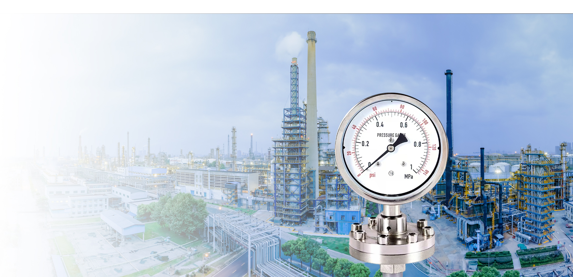 Garantire l'alta qualità con la nostra esperienza